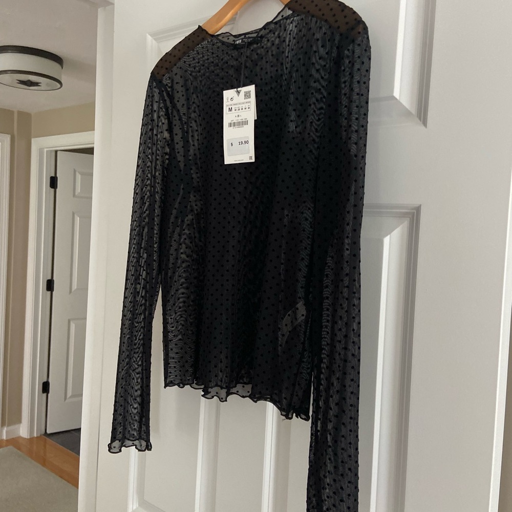 Zara Black Sheer Polka Dot Long-Sleeve Top
